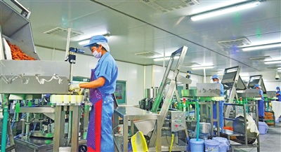 劈波斬浪逐夢行 創(chuàng)新賦能新圖景