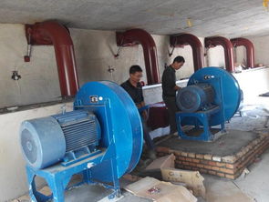 人工造浪設備代理商,可靠的人工造浪設備供應商