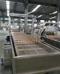 瓜果氣浪清洗流水線配置 諸城華都機(jī)械公司